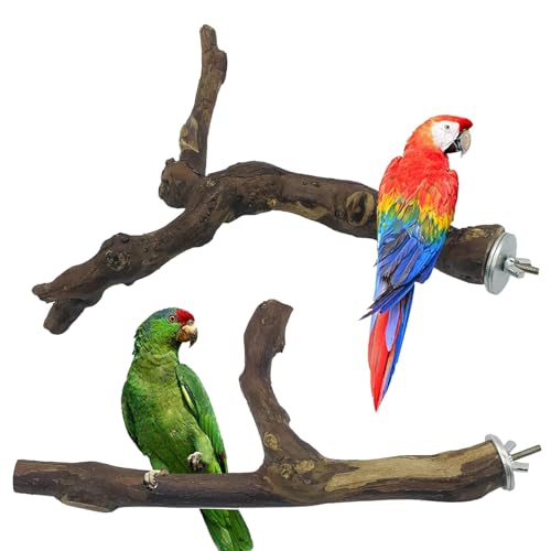 Allazone Naturholz Sitzstange für Vögel - 2 Stück Traubenstab Papagei Schaukel Spielzeug Allazone Naturholz Sitzstange für Vögel - 2 Stück Traubenstab Papagei Schaukel Spielzeug von Allazone