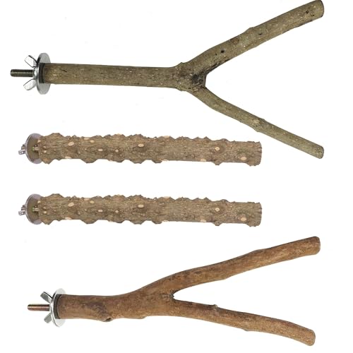 Allazone 4 Stück natürliche Papageien-Sitzstange aus Holz für Papageien, Ständer, Vogelständer, Sittiche, Klettern, stehende Äste, Spielzeug für kleine Lovebirds Wellensittiche, Nymphensittiche Allazone 4 Stück natürliche Papageien-Sitzstange aus Holz für Papageien, Ständer, Vogelständer, Sittiche, Klettern, stehende Äste, Spielzeug für kleine Lovebirds Wellensittiche, Nymphensittiche von Allazone