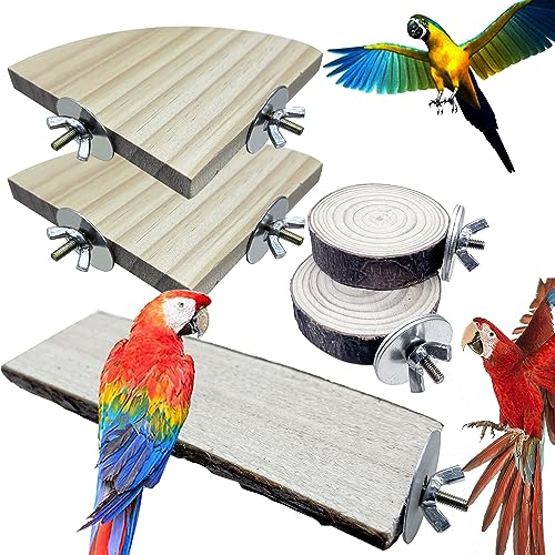 Allazone 5 Stück Sitzstangen Vögel, Naturholz Sitzstangen Natürlicher Sitzstangen für Vögel Holz, Vögel Spielzeug Vogel Papagei Schaukel Spielzeug Allazone 5 Stück Sitzstangen Vögel, Naturholz Sitzstangen Natürlicher Sitzstangen für Vögel Holz, Vögel Spielzeug Vogel Papagei Schaukel Spielzeug von Allazone