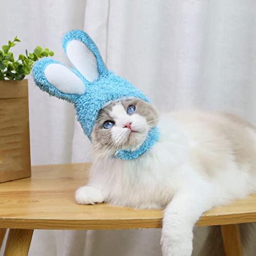 Haustier Kaninchen Ohr Hut Katze Hund Kaninchen Ohr tragen Hasenohren Form Plüsch Haustier Kopfschmuck für Festival Kostüm Cosplay Ostern Haustier Kaninchen Ohren Hut (Blue, Einheitsgröße) von Allegorly