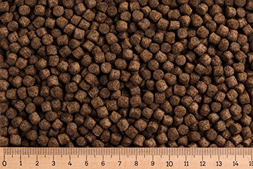 (Grundpreis 2,09 Euro/kg) - 30 kg Forellenfutter Primo 6,0 mm - 37/12 - schwimmend - Forellenpellets von Aller Aqua