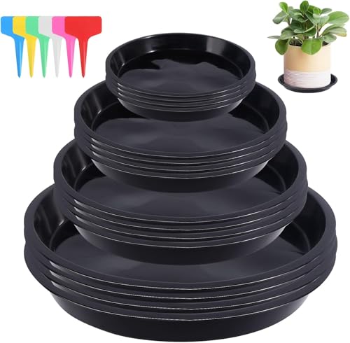 16 Stück Blumentopf, Plastik Untersetzer Blumentopf, Rund Pflanzen Blumentopf Untersetzer, Pflanzenuntersetzer Rund, Topfuntersetzer Pflanzen untersetzer für Innen und Außenpflanzen, Blumen & Pflanzen 16 Stück Blumentopf, Plastik Untersetzer Blumentopf, Rund Pflanzen Blumentopf Untersetzer, Pflanzenuntersetzer Rund, Topfuntersetzer Pflanzen untersetzer für Innen und Außenpflanzen, Blumen & Pflanzen von Alleshelfer