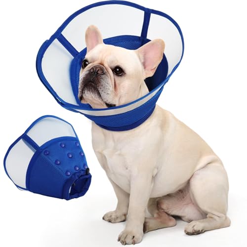 Allroaring Hundekegel, verstellbare Kegel für kleine Hunde, weiches Hundekegelhalsband gegen Lecken, bequeme Haustier-Genesungshalsbänder und Kegel, Alternative für nach Operationen, Wundheilung, Blau Allroaring Hundekegel, verstellbare Kegel für kleine Hunde, weiches Hundekegelhalsband gegen Lecken, bequeme Haustier-Genesungshalsbänder und Kegel, Alternative für nach Operationen, Wundheilung, Blau von Allroaring