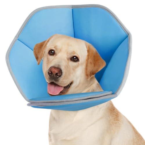 Kegelhalsband für Hunde, Alternative nach Operationen – bequemes E-Halsband für kleine, mittelgroße und große Hunde – Schutzkragen nach Operationen, Blau, Größe L von Allroaring