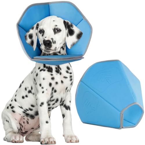 Kegelhalsband für Hunde, Alternative nach Operationen – bequemes E-Halsband für kleine, mittelgroße und große Hunde – Schutzkragen nach Operationen, Blau, Größe M von Allroaring