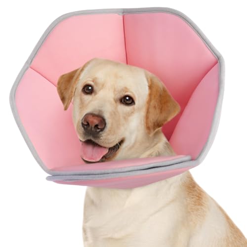 Kegelhalsband für Hunde, Alternative nach Operationen – bequemes E-Halsband für kleine, mittelgroße und große Hunde – Schutzkragen nach Operationen, Rosa, Größe L Kegelhalsband für Hunde, Alternative nach Operationen – bequemes E-Halsband für kleine, mittelgroße und große Hunde – Schutzkragen nach Operationen, Rosa, Größe L von Allroaring