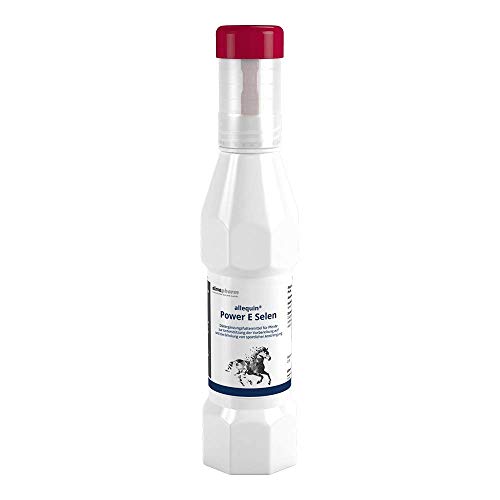 almapharm allequin Power E-Selen | 300 ml | Flüssiges Ergänzungsfuttermittel für Pferde | Zur UnterstüTzung der Vorbereitung auf und der Erholung von sportlicher Anstrengung almapharm allequin Power E-Selen | 300 ml | Flüssiges Ergänzungsfuttermittel für Pferde | Zur UnterstüTzung der Vorbereitung auf und der Erholung von sportlicher Anstrengung von almapharm