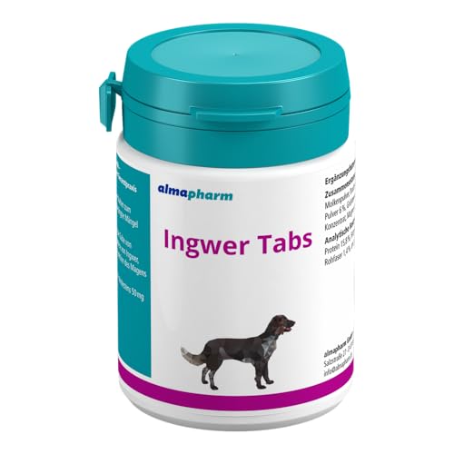 almapharm astoral Ingwer Tabs | 30 Tabletten | Ergänzungsfuttermittel für Hunde zur Stabilisierung der Magenperistaltik | Gegen Reisekrankheit bei Hunden auf Autofahrten von Almapharm