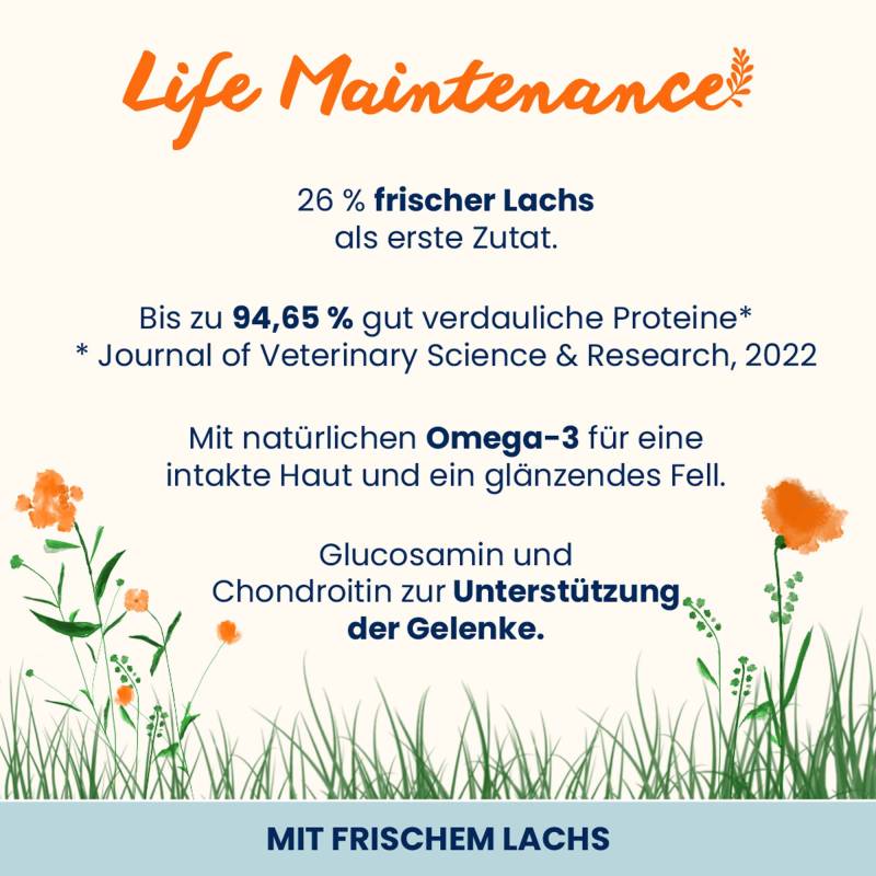 Almo Nature Life Maintenance Adult Lachs und Reis Large - 12 kg von Almo Nature Holistic