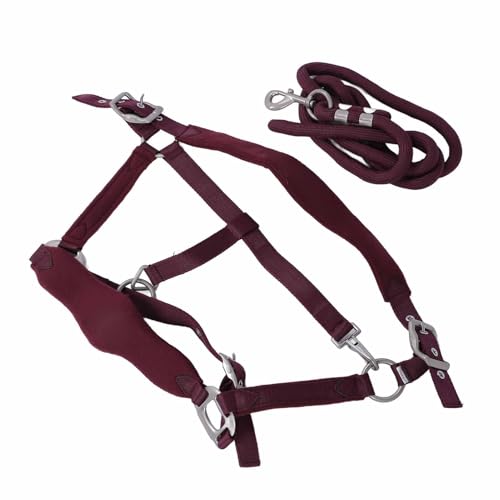 Pferdehalter mit 2 M Pferdeleine, Verhindern Sie Reiben und Bequem für das Tägliche Gehen, Joggen und Training (M (59 cm / 23,2 Zoll lang)) von Alomejor
