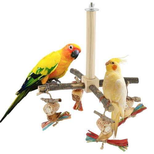 Alongen Hölzerner Vogelständer Barsch Spielzeug 360 ° Rotatable Papageienübung Stehbar mit Kauenspielzeugvogelkäfigzubehör für Papageien(Bisse) von Alongen