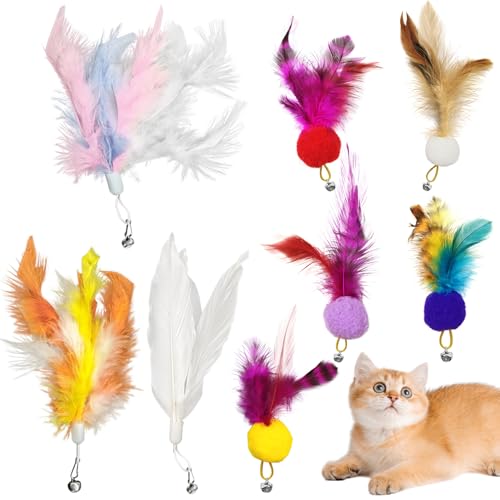 Alovez 8 Stück Katzenspielzeug Feder, Katzenangel Ersatzfedern Anhänger Federn Katzen Spielzeug mit Glocke für Katze, Farbe Zufällig Alovez 8 Stück Katzenspielzeug Feder, Katzenangel Ersatzfedern Anhänger Federn Katzen Spielzeug mit Glocke für Katze, Farbe Zufällig von Alovez
