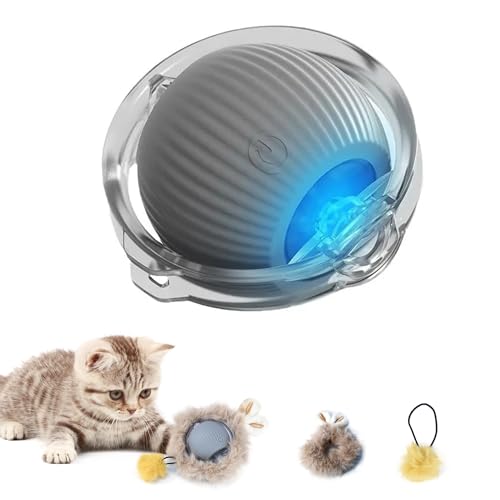 Interaktiver Katzenspielzeug-Ball, automatisch, selbstbeweglich, schnell rollend, mit Schwanzschnur für Innen, wiederaufladbar, intelligentes Licht, flackerndes Haustier, Kitty-Spielzeugball für Interaktiver Katzenspielzeug-Ball, automatisch, selbstbeweglich, schnell rollend, mit Schwanzschnur für Innen, wiederaufladbar, intelligentes Licht, flackerndes Haustier, Kitty-Spielzeugball für von Alsosaid