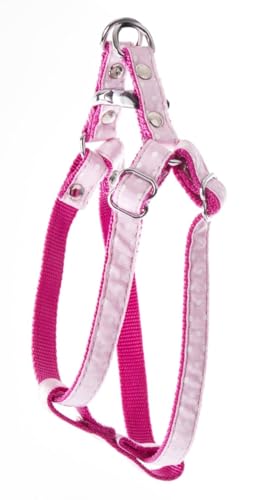 Geschirr Wohn gepunktet auf Gurt Nylon Halsumfang 17 – 27 cm rosa Geschirr Wohn gepunktet auf Gurt Nylon Halsumfang 17 – 27 cm rosa von Alterego