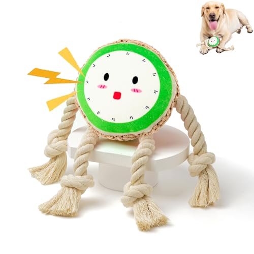 AlvPhui Quietschendes Hundespielzeug mit Seil, Plüsch-Hundespielzeug, Zerrspielzeug, Welpenspielzeug, um sie zu beschäftigen, interaktives Hundespielzeug für kleine, mittelgroße und große Hunde (Kiwi) AlvPhui Quietschendes Hundespielzeug mit Seil, Plüsch-Hundespielzeug, Zerrspielzeug, Welpenspielzeug, um sie zu beschäftigen, interaktives Hundespielzeug für kleine, mittelgroße und große Hunde (Kiwi) von AlvPhui