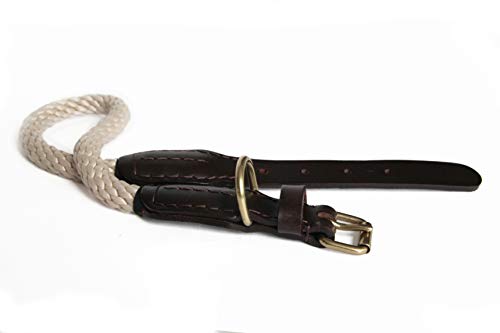Alvalley Lederhalsband mit Schnalle 3/4 in Stärke x 66 cm lang, beige von Alvalley LLC