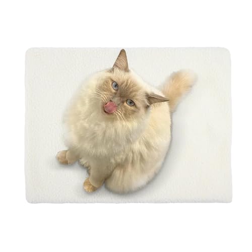 Warme Decke für Haustiere – Winterbett Sherpa für Katzen | Hundebett aus Plüsch aus Aluminiumfolie | rutschfeste selbstwärmende Decke für Haustiere | Bett Warme Decke für Haustiere – Winterbett Sherpa für Katzen | Hundebett aus Plüsch aus Aluminiumfolie | rutschfeste selbstwärmende Decke für Haustiere | Bett von Alwida