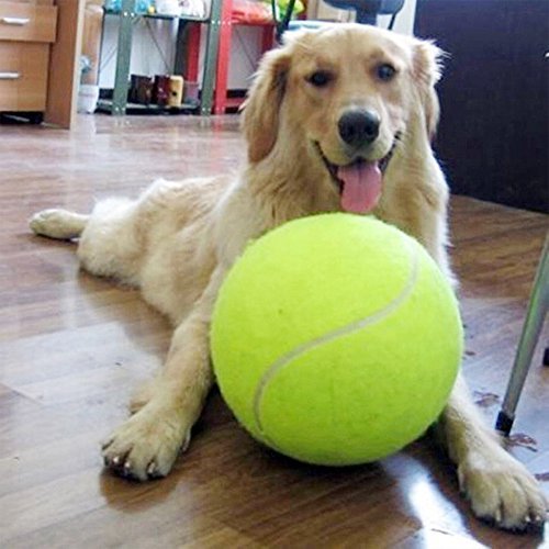 Alxcio Giant Hundespielzeug Bälle Robust Pet Tennis Ball für Kleine HundeTennisball für Haustiere Große Junge Hunde Bester Trainer 9.5 Inch von Alxcio