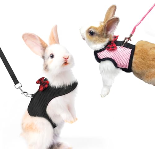 2 Stück Kaninchen Geschirrleine Haustier Geschirr und Leine Verstellbares Hasen Geschirr Softgeschirr mit Leine für Kaninchen Hasengeschirr Kaninchengeschirr für Kleintiere Kätzchen Haustier 2 Stück Kaninchen Geschirrleine Haustier Geschirr und Leine Verstellbares Hasen Geschirr Softgeschirr mit Leine für Kaninchen Hasengeschirr Kaninchengeschirr für Kleintiere Kätzchen Haustier von Amacoam