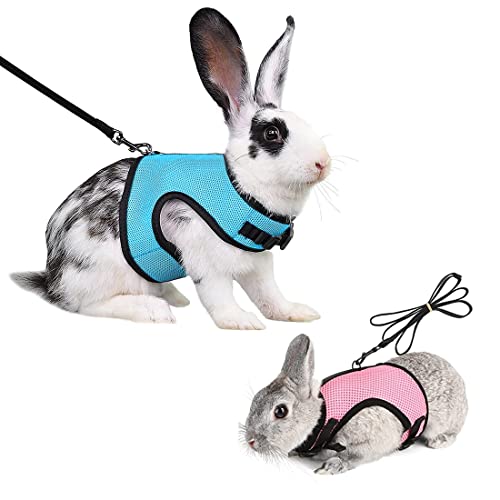 Weiches Kaninchen Geschirr Mit Leine - 2 Stück Mesh Kätzchen Haustier Hasen Geschirr Verstellbar Mit Elastischer Haustier Joggen Leine Weiches Kaninchen Geschirr Mit Leine - 2 Stück Mesh Kätzchen Haustier Hasen Geschirr Verstellbar Mit Elastischer Haustier Joggen Leine von Amacoam