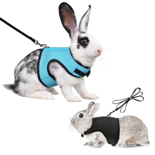 Weiches Kaninchen Geschirr Mit Leine - 2 Stück Mesh Kätzchen Haustier Hasen Geschirr Verstellbar Mit Elastischer Joggen Leine Weiches Kaninchen Geschirr Mit Leine - 2 Stück Mesh Kätzchen Haustier Hasen Geschirr Verstellbar Mit Elastischer Joggen Leine von Amacoam
