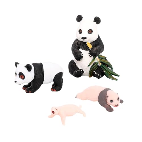 Amagogo 4X Panda-Tier-Lebenszyklus-Modell, Klassenzimmer-Zubehör, pädagogisches Spielzeug-Zubehör, Schreibtisch-Dekoration, kognitives Spielzeug für Kinder, Panda-Wachstumszyklus 1 von Amagogo