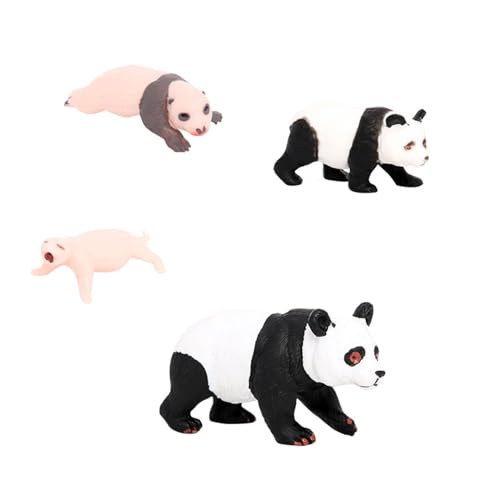 Amagogo 4X Panda-Tier-Lebenszyklus-Modell, Klassenzimmer-Zubehör, pädagogisches Spielzeug-Zubehör, Schreibtisch-Dekoration, kognitives Spielzeug für Kinder, Panda-Wachstumszyklus 2 von Amagogo