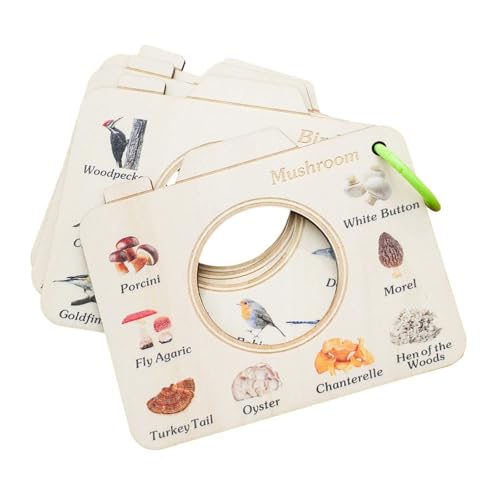Amagogo Holzlernspielzeug Bird Blumengraspflanze, robuste, leichte Outdoor -Abenteuerkognitive Boardentwicklung für Kinder Amagogo Holzlernspielzeug Bird Blumengraspflanze, robuste, leichte Outdoor -Abenteuerkognitive Boardentwicklung für Kinder von Amagogo