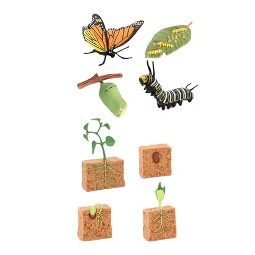 Amagogo Lebenszyklus-Sets, Figurspielzeug, Vorschulspielzeug, Schmetterling und Pflanzen, für Kinder, Entwicklungsspielzeug Montessori für Kinder Amagogo Lebenszyklus-Sets, Figurspielzeug, Vorschulspielzeug, Schmetterling und Pflanzen, für Kinder, Entwicklungsspielzeug Montessori für Kinder von Amagogo