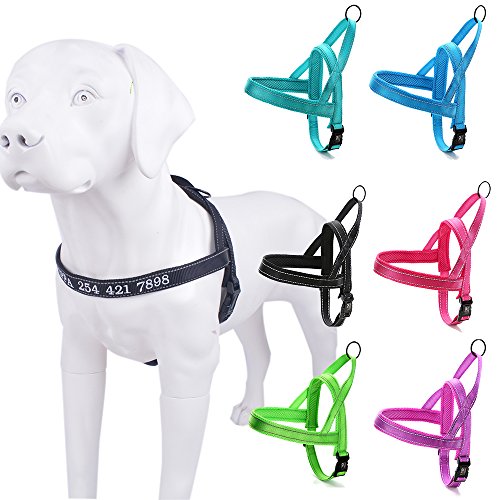 Reflektierendes, stabiles Hundegeschirr mit Namen, besticktem Namen, Telefonnummer, Haustier-Halsband, personalisiertes ID-Geschirr, einfache Kontrolle, mit Verriegelung, Sicherheit für Hunde Reflektierendes, stabiles Hundegeschirr mit Namen, besticktem Namen, Telefonnummer, Haustier-Halsband, personalisiertes ID-Geschirr, einfache Kontrolle, mit Verriegelung, Sicherheit für Hunde von Amakunft