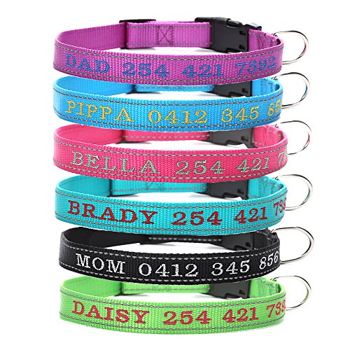 Amakunft Reflektierendes Hundehalsband, personalisierbar mit gesticktem Namen und Telefonnummer, für Hunde Amakunft Reflektierendes Hundehalsband, personalisierbar mit gesticktem Namen und Telefonnummer, für Hunde von Amakunft