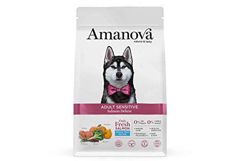 Amanova Super Premium 100% natürliches trockenes Hundefutter für Erwachsene - 2 kg - Frischer Lachs - Getreidefrei - Hypoallergen - Grausamkeitsfrei von Amanova