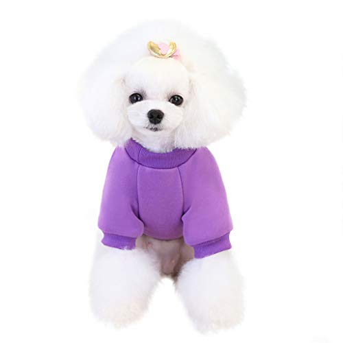 Amaone Fleece Winterjacke für Kleine Hunde Carrot Sweater Cute Dog Clothing Kleine und mittelgroße Hundehaustierkleidung Kleider für Hunde (b-Purple, L) von Amaone