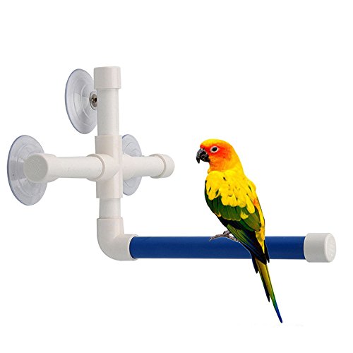 Amaone Papagei Holzspielzeug Spielwaren Schleifen Becher Papagei · Saugung · Wand · Vögel-Standfenster; Spielzeug Papagei (a-Blue, One Size) von Amaone