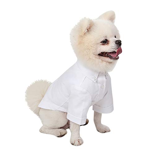 Amaone Strickpullover Für Kleine Hunde Fashion Pet Costumes Frühling und Herbst Atmungsaktives einfaches neues Slim Fit Shirt Hundepullover Für Geschirr (White-c, S) von Amaone