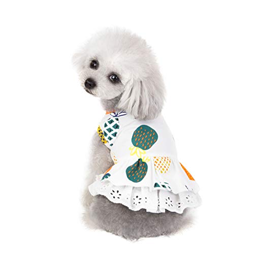 Hundebekleidung Für Möpse Pet Dog Bottoming Ananas Print Dress Kleidung Cat Lace Atmungsaktives Kleid Osterkleid Für Hunde (White-B, L) von Amaone
