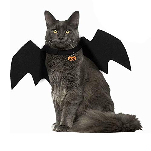 Haustiere Fledermausflügel,Halloween Haustier Kostüm Fledermaus,Haustiere Kostüme Kleidung Halloween Kürbisse Katzenglocke Fledermausflügel Katzenfledermaus Kostüm für Hündchen Katze von Amasawa