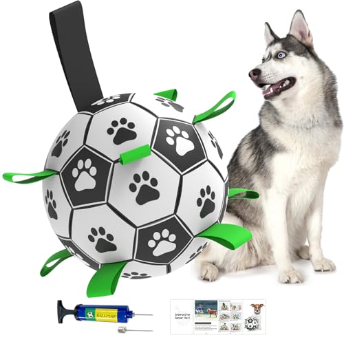 Amasiver Hundebälle, interaktives Hundespielzeug zum Tauziehen, Hunde-Fußball mit 9 Nylonbändern für drinnen und draußen, Hundespielzeug für kleine Hunde & mittelgroße Geschenke zum Geburtstag Amasiver Hundebälle, interaktives Hundespielzeug zum Tauziehen, Hunde-Fußball mit 9 Nylonbändern für drinnen und draußen, Hundespielzeug für kleine Hunde & mittelgroße Geschenke zum Geburtstag von Amasiver