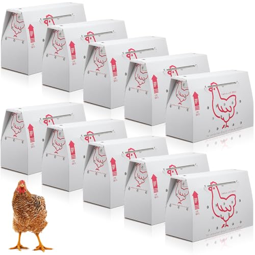 AmazingSpark 10 Stück Singles Live Chicken Versandkartons 45,7 x 20,3 x 30,5 cm Geflügel Vogel Versandkartons Karton Haustiertragetasche Einweg-Kleintier-Transportträger für Katzen, Hamster, Vögel von AmazingSpark