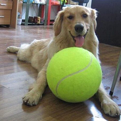 Big Tennisball für Hunde 9,5 Zoll von Amazingdeal365