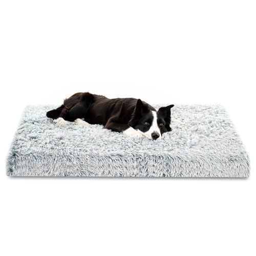 Amazinggirl Hundebett für kleine mittelgroße und Grosse Hunde 100 x 60 cm - Hundekissen Hundebetten Hundesofa Dog Bed Hundematratze Hundekorb oder Wolkenbett flauschig und waschbar Hellgrau Amazinggirl Hundebett für kleine mittelgroße und Grosse Hunde 100 x 60 cm - Hundekissen Hundebetten Hundesofa Dog Bed Hundematratze Hundekorb oder Wolkenbett flauschig und waschbar Hellgrau von Amazinggirl