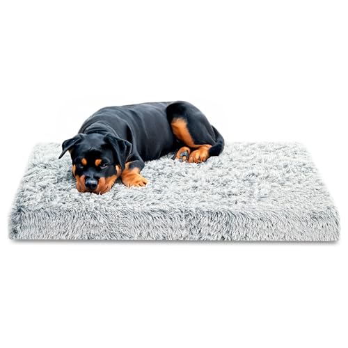 Amazinggirl Hundebett für kleine mittelgroße und Grosse Hunde 120 x 80 cm - Hundekissen Hundebetten Hundesofa Dog Bed Hundematratze Hundekorb oder Wolkenbett flauschig und waschbar Hellgrau Amazinggirl Hundebett für kleine mittelgroße und Grosse Hunde 120 x 80 cm - Hundekissen Hundebetten Hundesofa Dog Bed Hundematratze Hundekorb oder Wolkenbett flauschig und waschbar Hellgrau von Amazinggirl