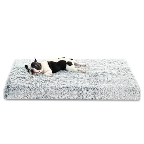 Amazinggirl Hundebett für kleine mittelgroße und Grosse Hunde 75 x 50 cm - Hundekissen Hundebetten Hundesofa Dog Bed Hundematratze Hundekorb oder Wolkenbett flauschig und waschbar Hellgrau Amazinggirl Hundebett für kleine mittelgroße und Grosse Hunde 75 x 50 cm - Hundekissen Hundebetten Hundesofa Dog Bed Hundematratze Hundekorb oder Wolkenbett flauschig und waschbar Hellgrau von Amazinggirl