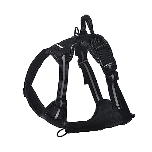 Amazon Basics Anti-Zieh-Hundegeschirr, verstellbar, weich gepolstert, mit reflektierenden Streifen, Klein, Schwarz Amazon Basics Anti-Zieh-Hundegeschirr, verstellbar, weich gepolstert, mit reflektierenden Streifen, Klein, Schwarz von Amazon Basics