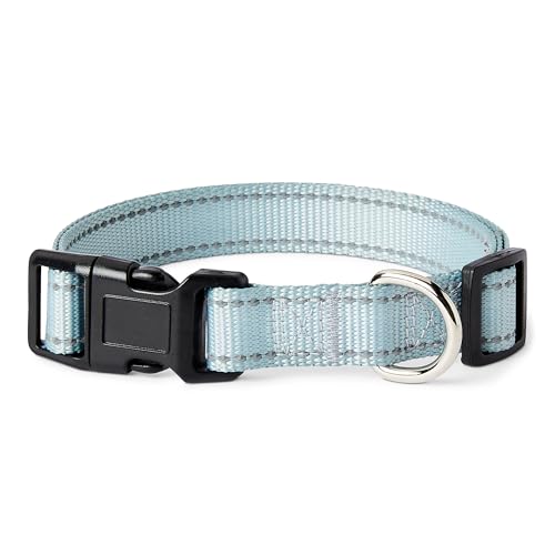 Amazon Basics Hundehalsband, Polyester, Größe M, Cyanblau Amazon Basics Hundehalsband, Polyester, Größe M, Cyanblau von Amazon Basics