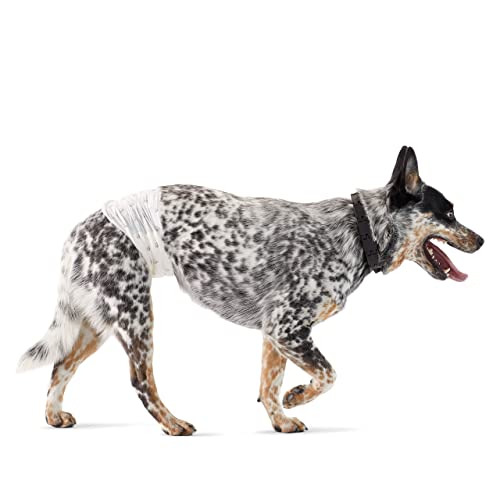 Amazon Basics Hundewindel für Rüden, Einwegwindeln, Mittel (Pack of 50), Weiß Amazon Basics Hundewindel für Rüden, Einwegwindeln, Mittel (Pack of 50), Weiß von Amazon Basics