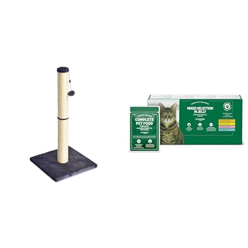 Amazon Basics Katzenkratzbaum (80 cm, Grau) mit getreidefreiem Katzenfutter für ausgewachsene Katzen von Amazon, gemischte Auswahl (48 Beutel mit 100 g) von Amazon Basics
