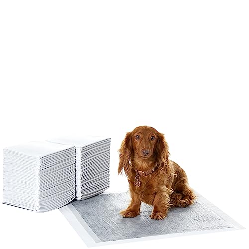 Amazon Basics Trainingspads für Hunde und Welpen mit Kohlenstoff zur Geruchskontrolle, auslaufsicheres Design mit schnell trocknender Oberfläche, Regulär(80 Stück), Grau Amazon Basics Trainingspads für Hunde und Welpen mit Kohlenstoff zur Geruchskontrolle, auslaufsicheres Design mit schnell trocknender Oberfläche, Regulär(80 Stück), Grau von Amazon Basics