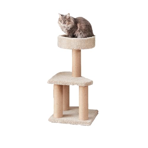 Amazon Basics Kratzbaum mit Kratzstämmen für den Innenbereich, mittelgroß, 40 x 40 x 80 cm (L x B x H), Beige von Amazon Basics