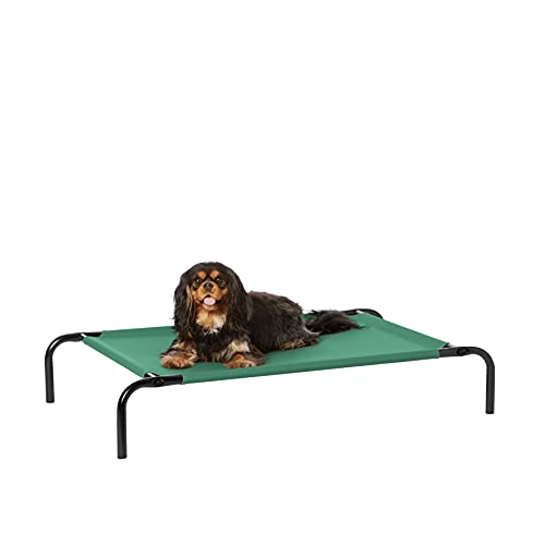 Amazon Basics Kühlendes erhöhtes Haustierbett Hund, Größe S, Grün von Amazon Basics